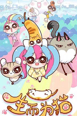 优化公司网站联系k火13星规范